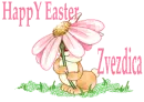Easter bunny