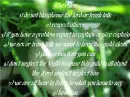 rules for jesus wbsite