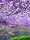 spring time beauty