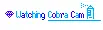 Im on Watching Cobra Cam!