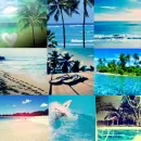 summer background