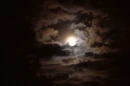 Night