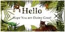 Hello 
