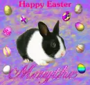 Happy Easter