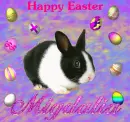 Happy Easter