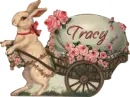 Easter Bunny - Tracy