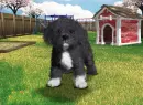oliver