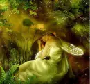 sleeping faerie