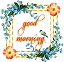 Good Morning
