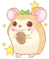 hamster