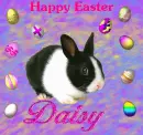 Happy Easter 