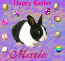 Happy Easter 