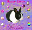 Happy Easter 