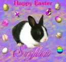 Happy Easter 