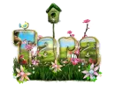 Tara
