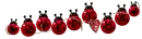 Zvezdica
