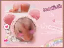 cute hamster (640X480)