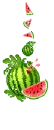 Melon