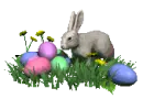 bunny with easter eggs