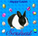 Happy Easter