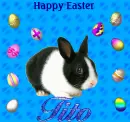 Happy Easter