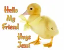 hello my friend Jessi