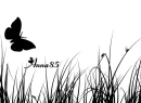 TÅ‚o, ramka, Background, Flower, abstract