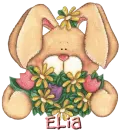 Easter Bunny With Flowers - Elia