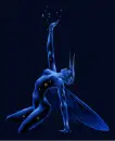Spirit of Water