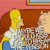 Homer Spiderpig