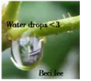 water drops avatar