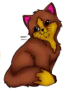 sweet kitty