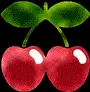 pacha
