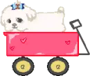 puppy wagon