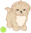 puppeh