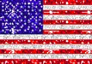 Salute to the Glitter Flag!!!!!!!!! 