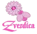 Zvezdica