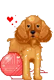 cute dog