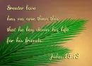 Friends bibical quote