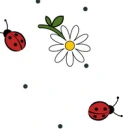 Ladybugs Background
