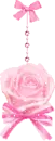 PINK ROSE