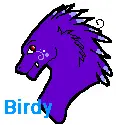 Birdy, my feather dragon