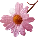 My