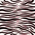 zebra background