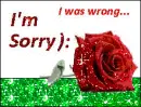 "I'm Sorry" Rose