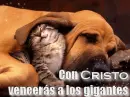 Con Cristo venceras a los gigantes