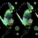 butterflys