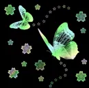 butterflys