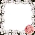 botttom frames