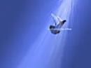 Dove of Peace